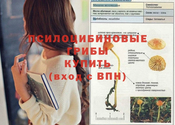 мяу мяу кристалл Краснослободск